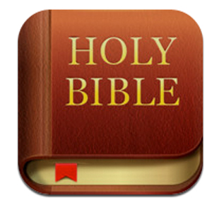 Download bible for offline use